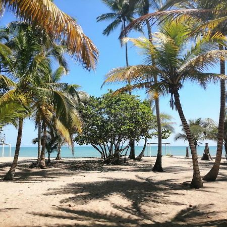 Hotel Playa Mandala Паломино Экстерьер фото