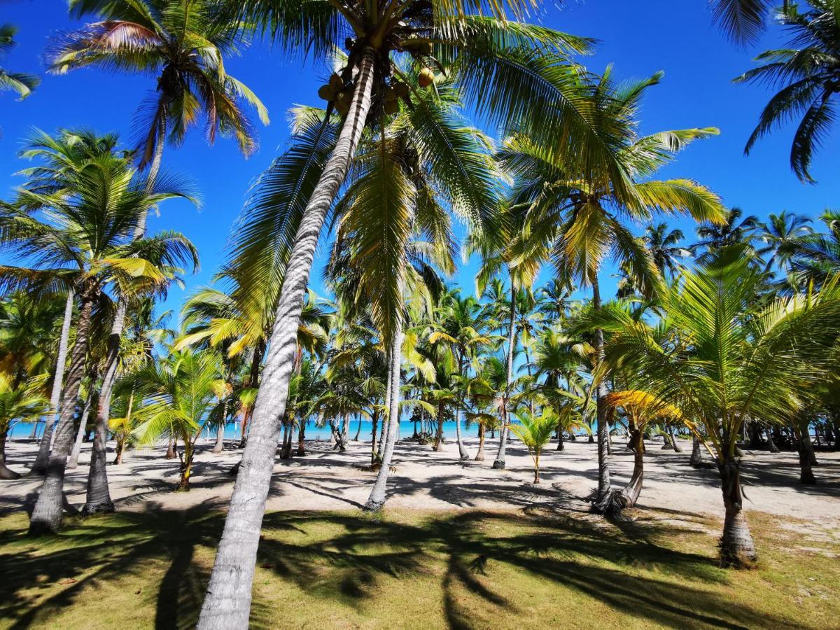 Hotel Playa Mandala Паломино Экстерьер фото