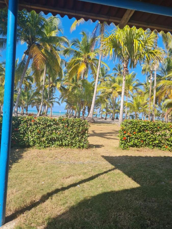 Hotel Playa Mandala Паломино Экстерьер фото