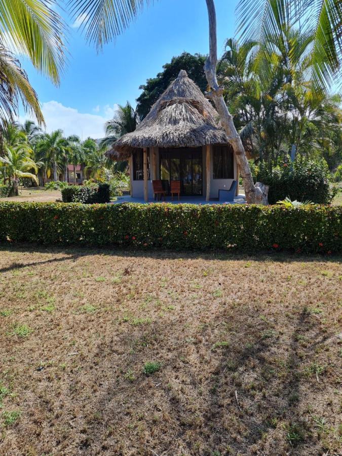 Hotel Playa Mandala Паломино Экстерьер фото