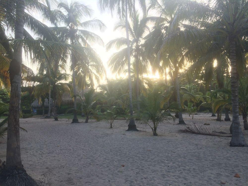 Hotel Playa Mandala Паломино Экстерьер фото