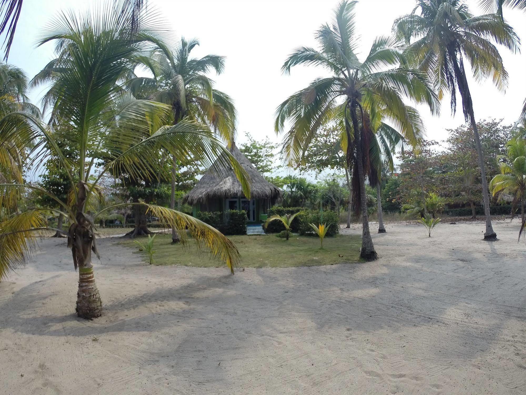 Hotel Playa Mandala Паломино Экстерьер фото