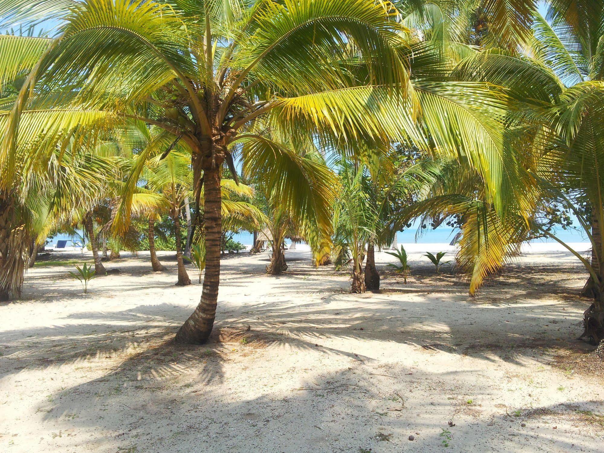 Hotel Playa Mandala Паломино Экстерьер фото