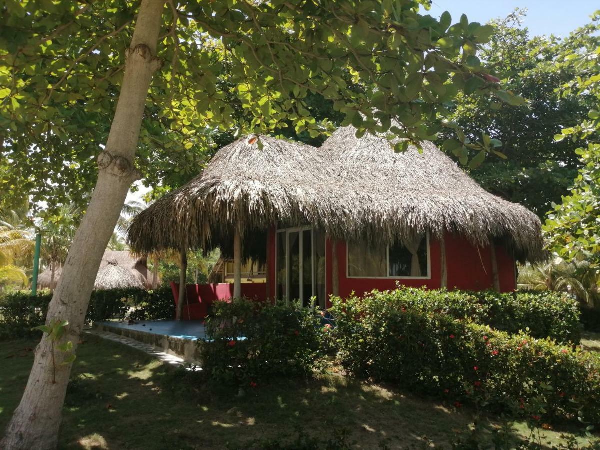Hotel Playa Mandala Паломино Экстерьер фото