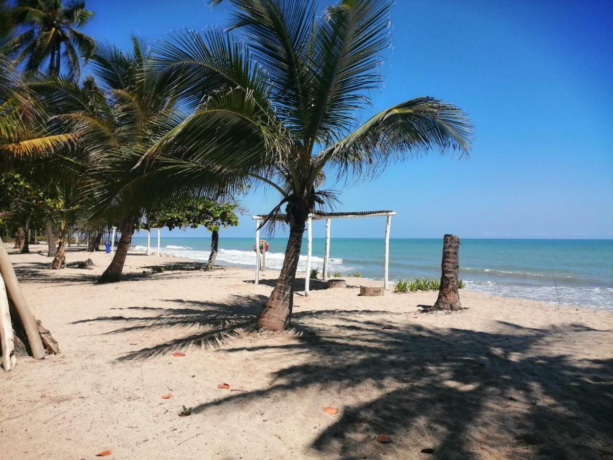 Hotel Playa Mandala Паломино Экстерьер фото
